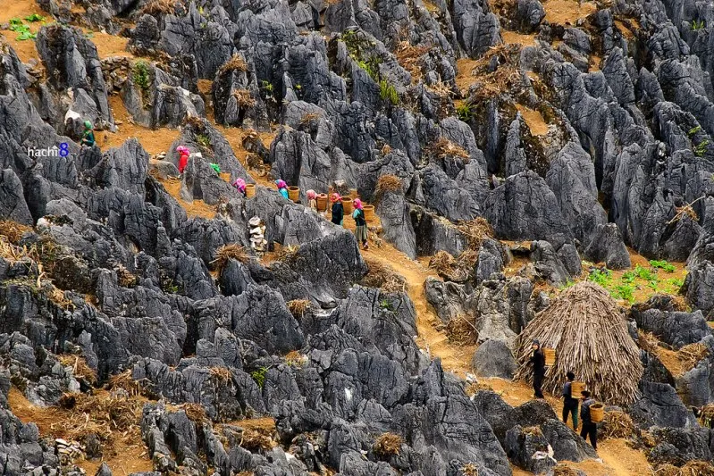 Dong Van karst plateau geopark