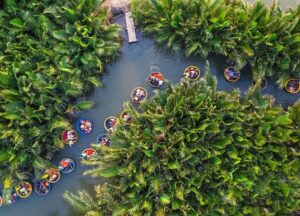 Bay Mau Coconut Forest