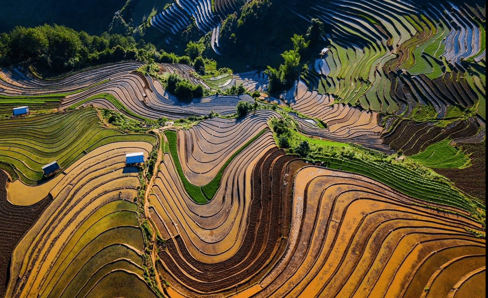 Terrace field (Mu Cang Chai)