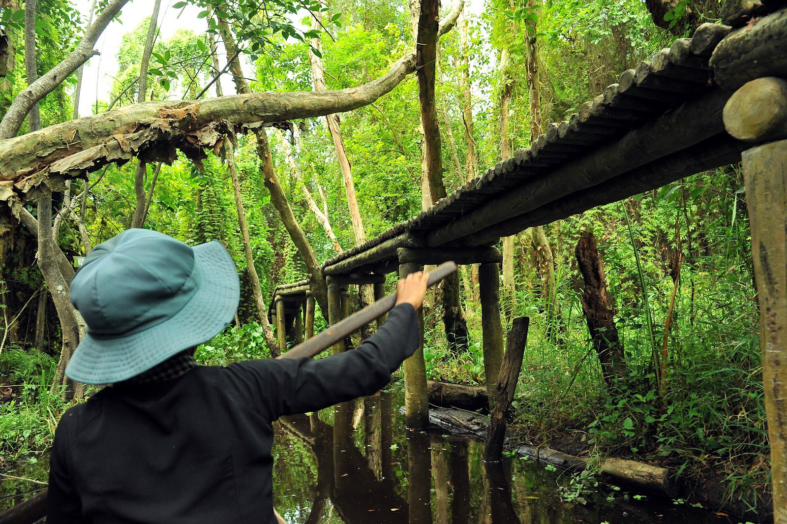 Xeo Quyt Forest (Cao Lanh, Dong Thap)