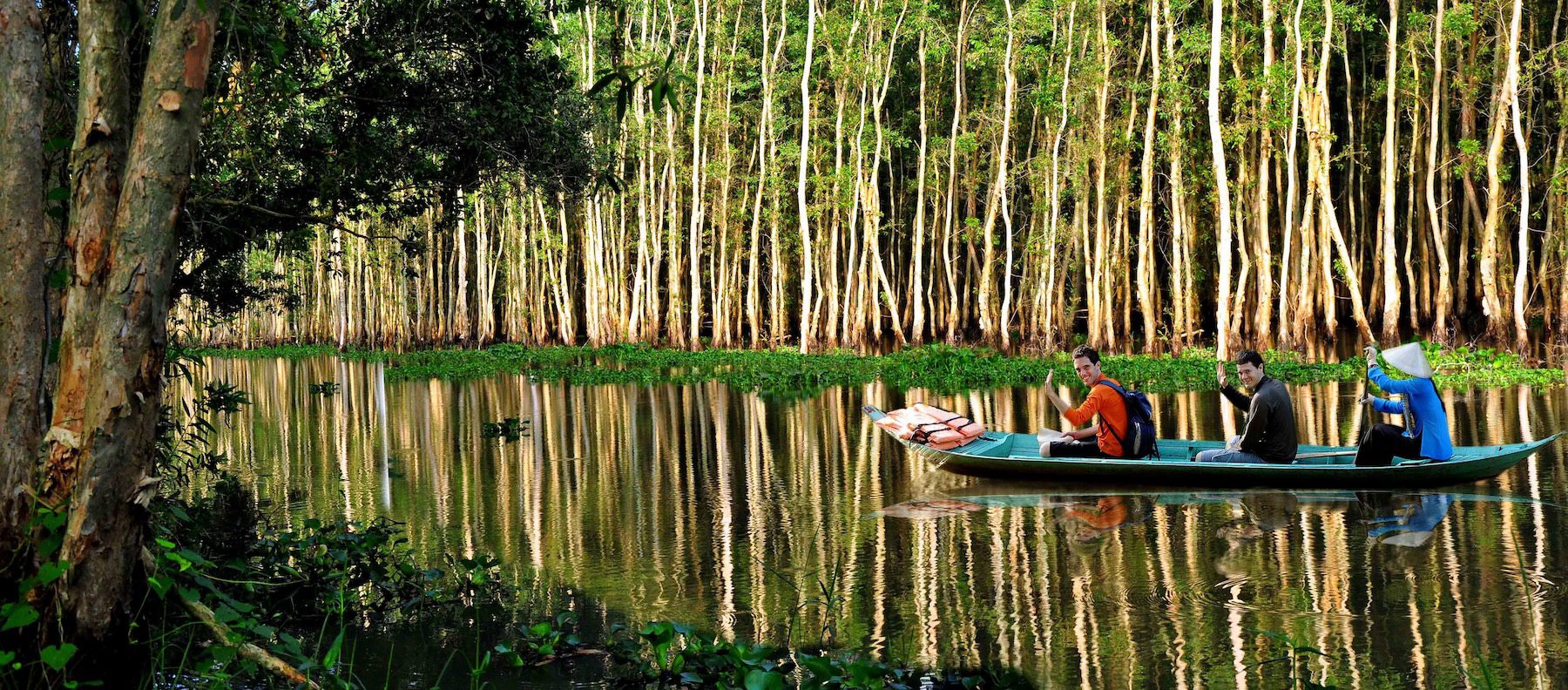 Experience going through the forest by boat in Xeo Quyt (Dong Thap)