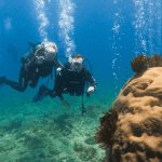 Vietnam’s wild side: 7 adventures to try now